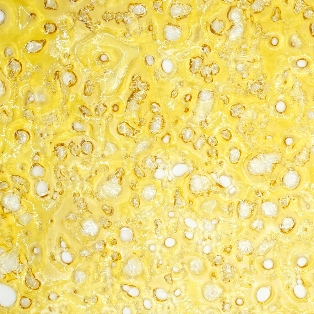 King Louis XIII Shatter